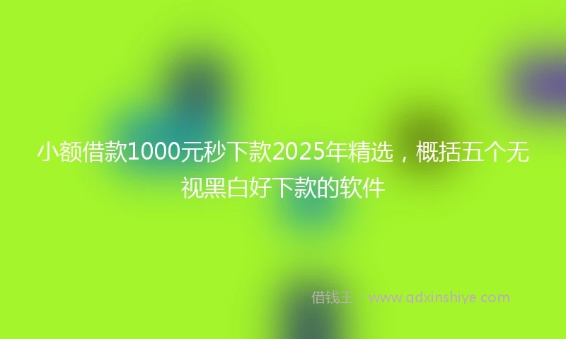 小额借款1000元秒下款2025年精选，概括五个无视黑白好下款的软件