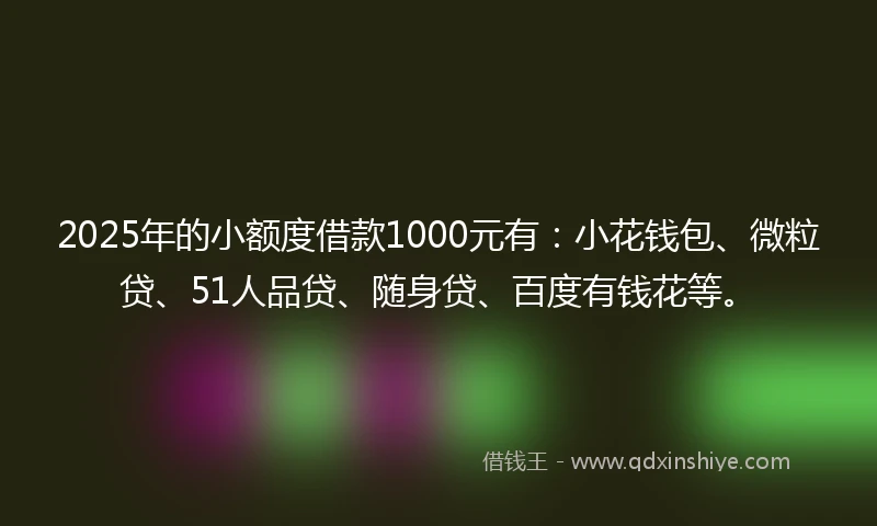 2025年的小额度借款1000元有：小花钱包、微粒贷、51人品贷、随身贷、百度有钱花等。