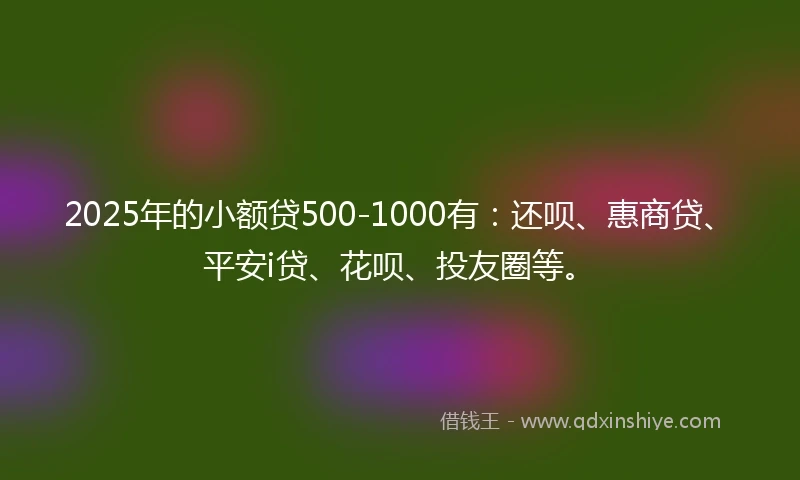 2025年的小额贷500-1000有：还呗、惠商贷、平安i贷、花呗、投友圈等。