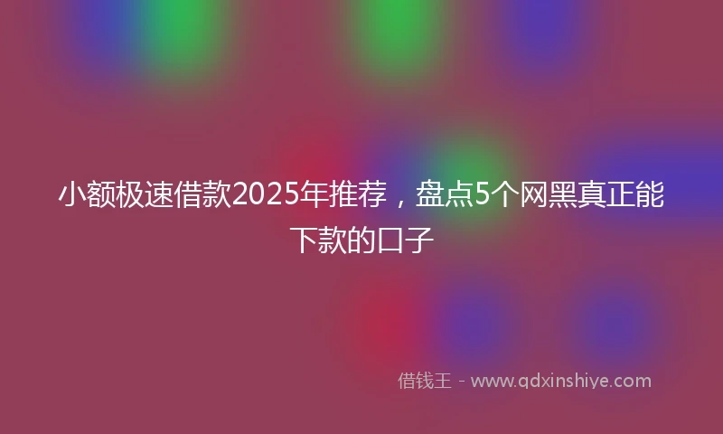 小额极速借款2025年推荐，盘点5个网黑真正能下款的口子