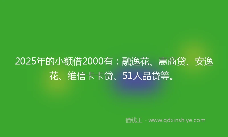 2025年的小额借2000有：融逸花、惠商贷、安逸花、维信卡卡贷、51人品贷等。