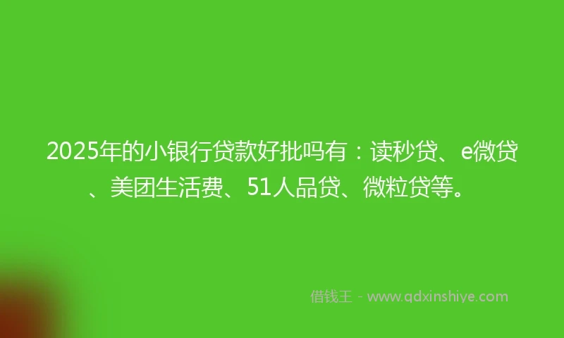 2025年的小银行贷款好批吗有：读秒贷、e微贷、美团生活费、51人品贷、微粒贷等。