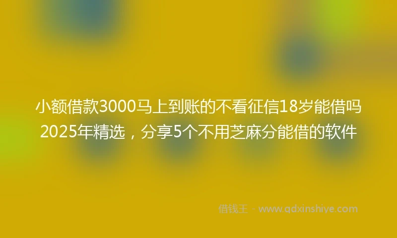 小额借款3000马上到账的不看征信18岁能借吗2025年精选，分享5个不用芝麻分能借的软件