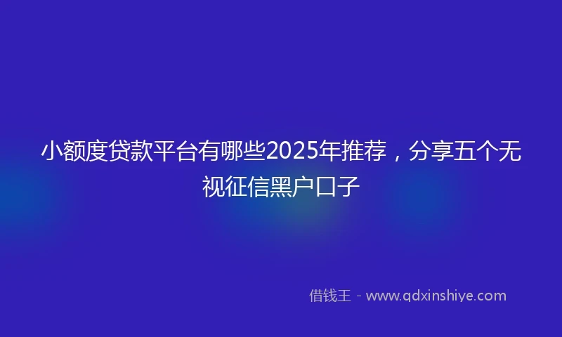 小额度贷款平台有哪些2025年推荐，分享五个无视征信黑户口子