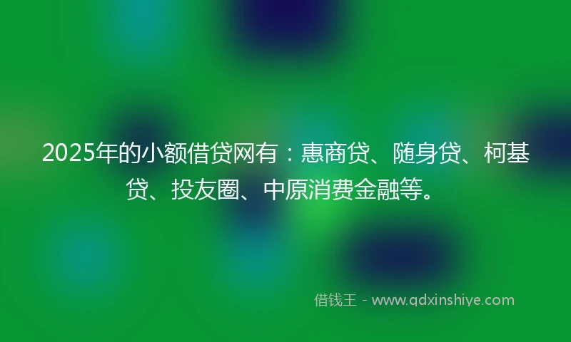 2025年的小额借贷网有：惠商贷、随身贷、柯基贷、投友圈、中原消费金融等。