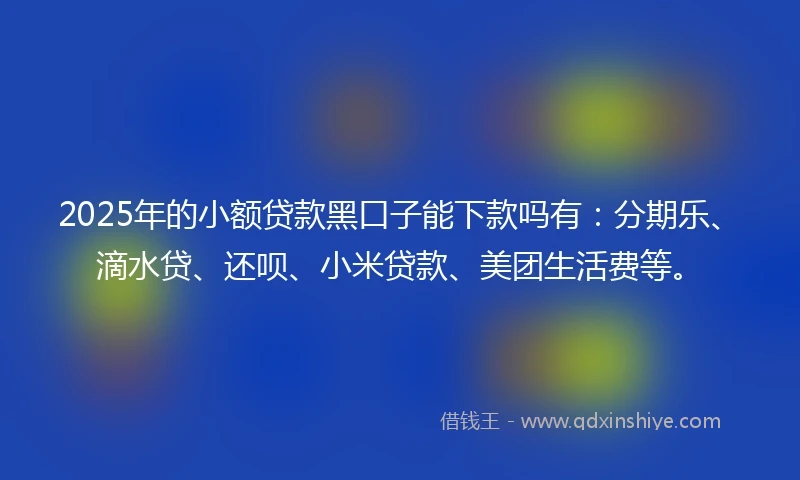 2025年的小额贷款黑口子能下款吗有：分期乐、滴水贷、还呗、小米贷款、美团生活费等。