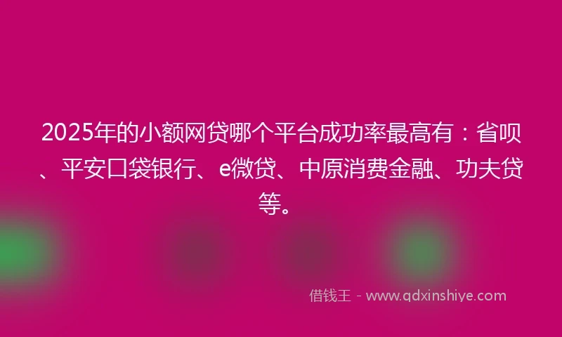 2025年的小额网贷哪个平台成功率最高有：省呗、平安口袋银行、e微贷、中原消费金融、功夫贷等。
