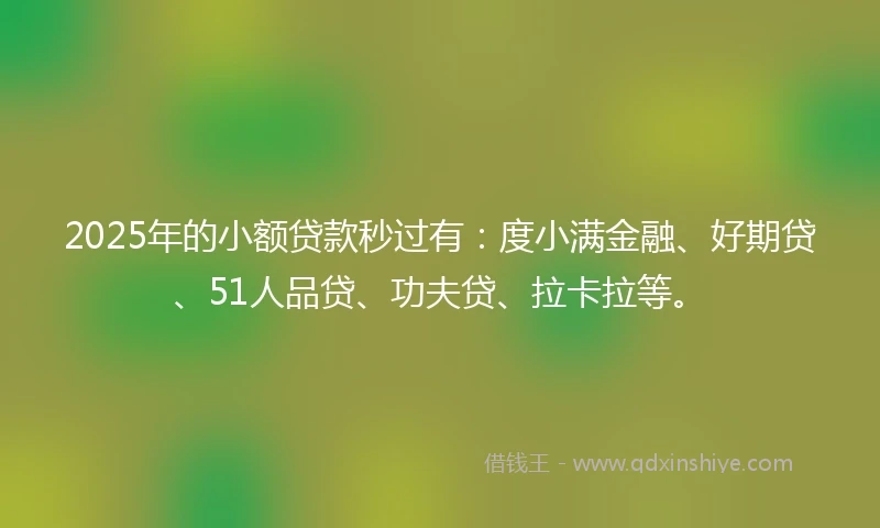 2025年的小额贷款秒过有：度小满金融、好期贷、51人品贷、功夫贷、拉卡拉等。