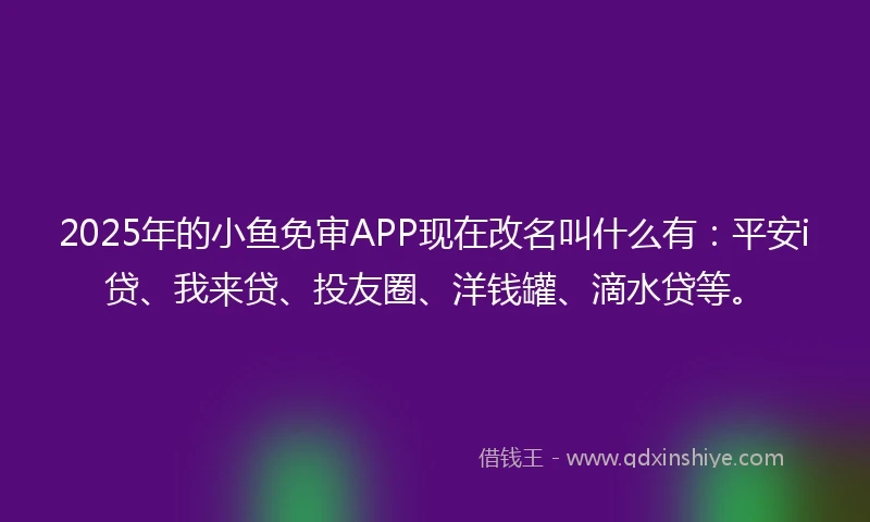 2025年的小鱼免审APP现在改名叫什么有：平安i贷、我来贷、投友圈、洋钱罐、滴水贷等。