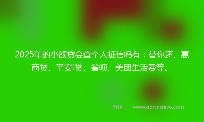 2025年的小额贷会查个人征信吗有：替你还、惠商贷、平安i贷、省呗、美团生活费等。