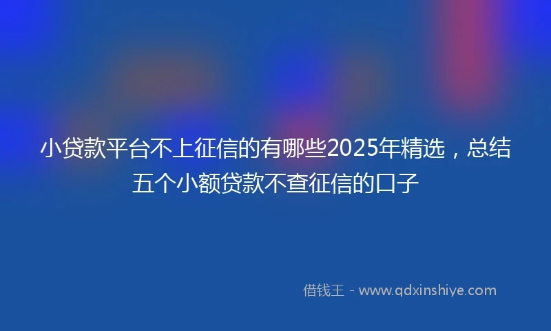 小贷款平台不上征信的有哪些2025年精选，总结五个小额贷款不查征信的口子