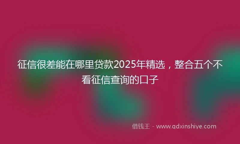 征信很差能在哪里贷款2025年精选，整合五个不看征信查询的口子