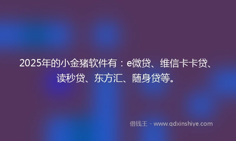 2025年的小金猪软件有：e微贷、维信卡卡贷、读秒贷、东方汇、随身贷等。