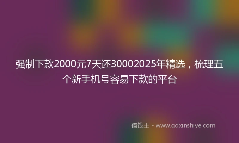 强制下款2000元7天还30002025年精选，梳理五个新手机号容易下款的平台