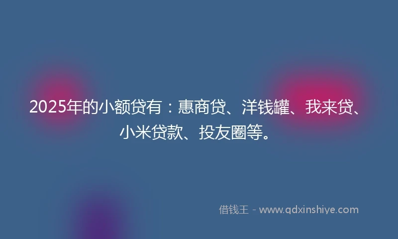 2025年的小额贷有：惠商贷、洋钱罐、我来贷、小米贷款、投友圈等。