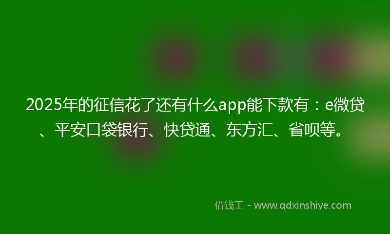 2025年的征信花了还有什么app能下款有：e微贷、平安口袋银行、快贷通、东方汇、省呗等。