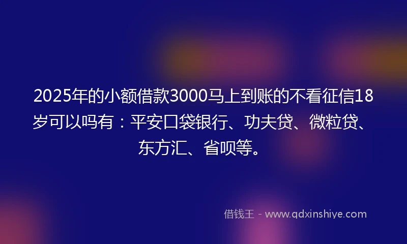 2025年的小额借款3000马上到账的不看征信18岁可以吗有：平安口袋银行、功夫贷、微粒贷、东方汇、省呗等。