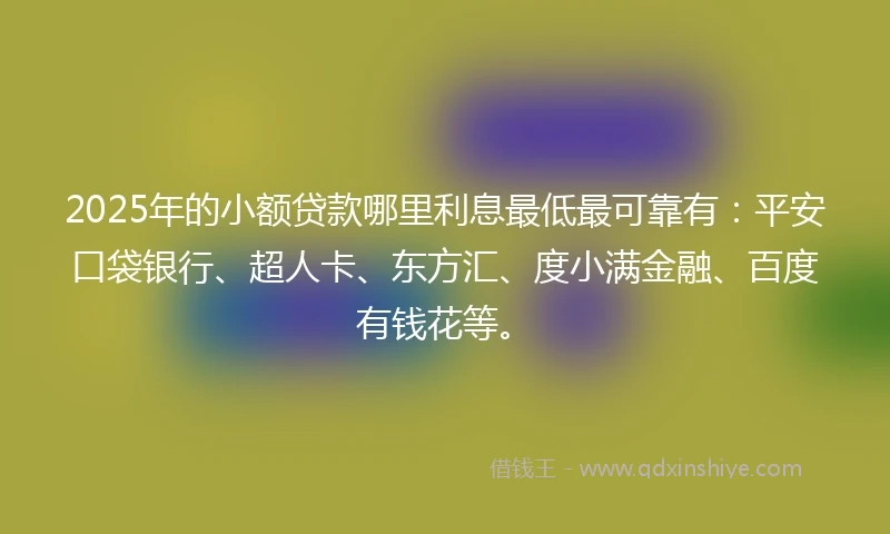 2025年的小额贷款哪里利息最低最可靠有：平安口袋银行、超人卡、东方汇、度小满金融、百度有钱花等。