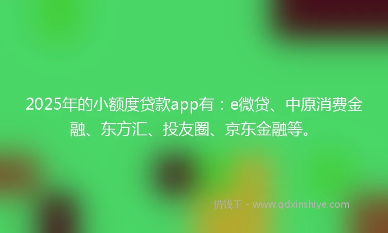 2025年的小额度贷款app有：e微贷、中原消费金融、东方汇、投友圈、京东金融等。