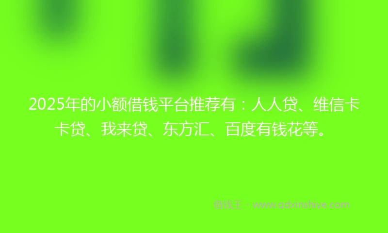 2025年的小额借钱平台推荐有：人人贷、维信卡卡贷、我来贷、东方汇、百度有钱花等。
