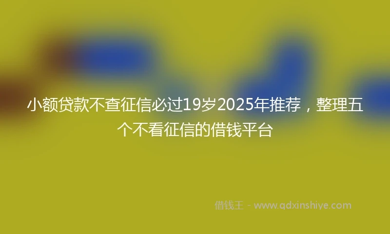 小额贷款不查征信必过19岁2025年推荐，整理五个不看征信的借钱平台