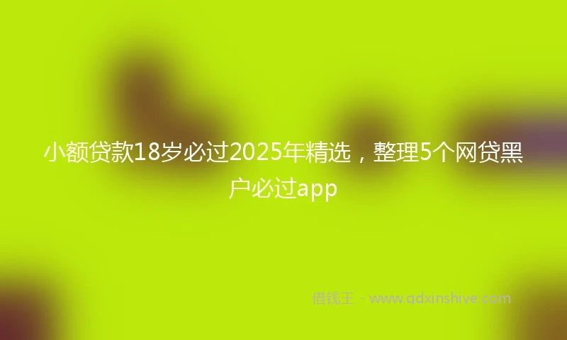 小额贷款18岁必过2025年精选，整理5个网贷黑户必过app