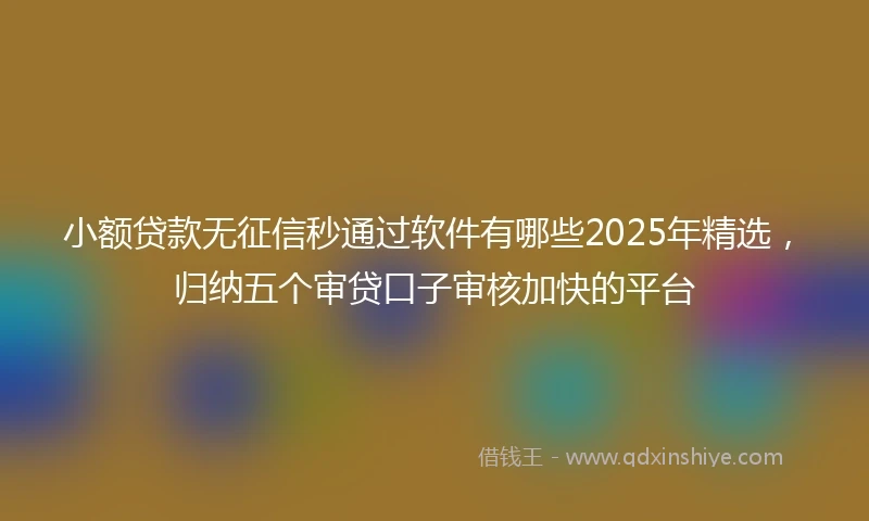 小额贷款无征信秒通过软件有哪些2025年精选，归纳五个审贷口子审核加快的平台