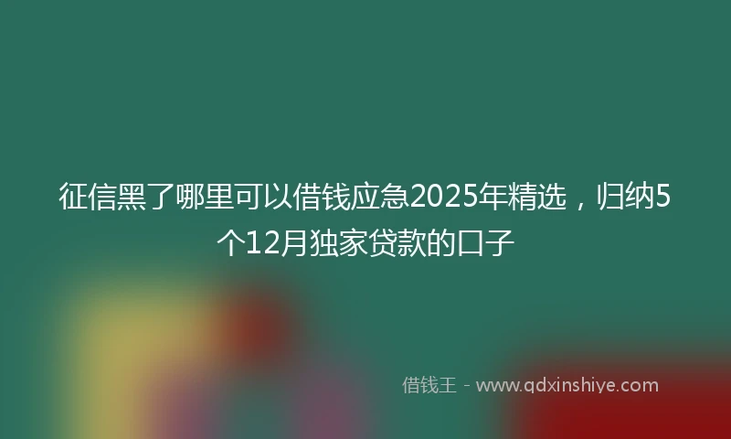 征信黑了哪里可以借钱应急2025年精选，归纳5个12月独家贷款的口子