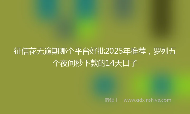 征信花无逾期哪个平台好批2025年推荐，罗列五个夜间秒下款的14天口子