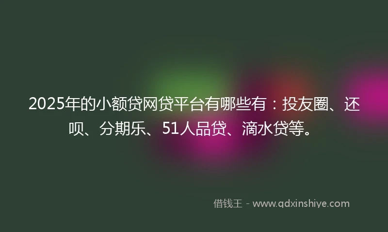 2025年的小额贷网贷平台有哪些有：投友圈、还呗、分期乐、51人品贷、滴水贷等。
