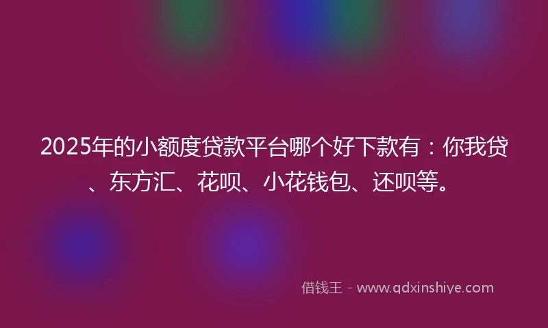 2025年的小额度贷款平台哪个好下款有：你我贷、东方汇、花呗、小花钱包、还呗等。