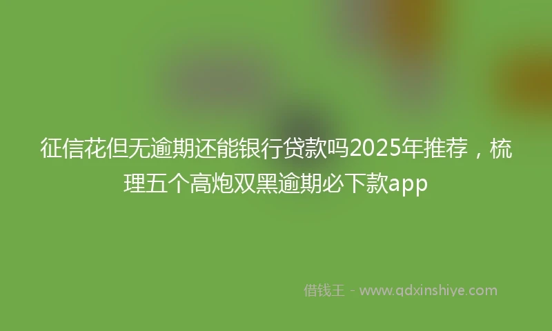 征信花但无逾期还能银行贷款吗2025年推荐,梳理五个高炮双黑逾期必下款app