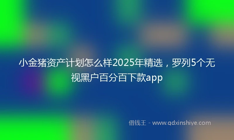 小金猪资产计划怎么样2025年精选，罗列5个无视黑户百分百下款app