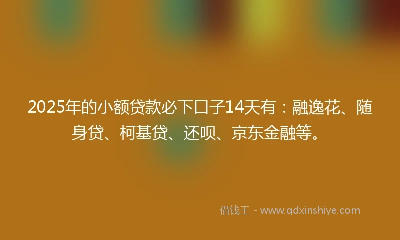 2025年的小额贷款必下口子14天有：融逸花、随身贷、柯基贷、还呗、京东金融等。