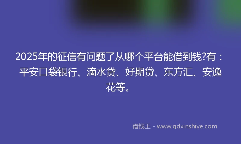 2025年的征信有问题了从哪个平台能借到钱?有：平安口袋银行、滴水贷、好期贷、东方汇、安逸花等。