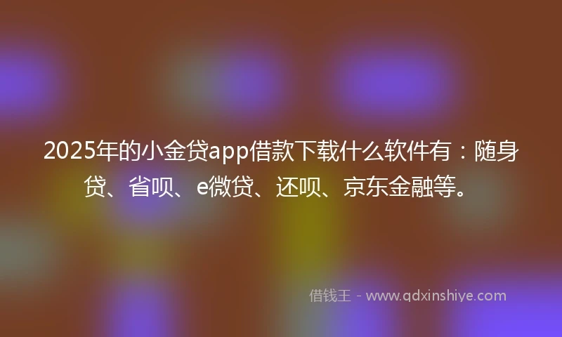 2025年的小金贷app借款下载什么软件有：随身贷、省呗、e微贷、还呗、京东金融等。