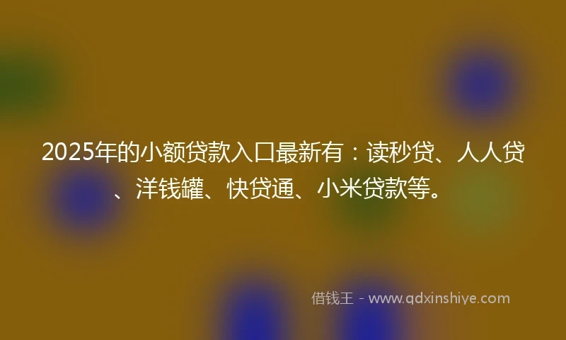 2025年的小额贷款入口最新有：读秒贷、人人贷、洋钱罐、快贷通、小米贷款等。