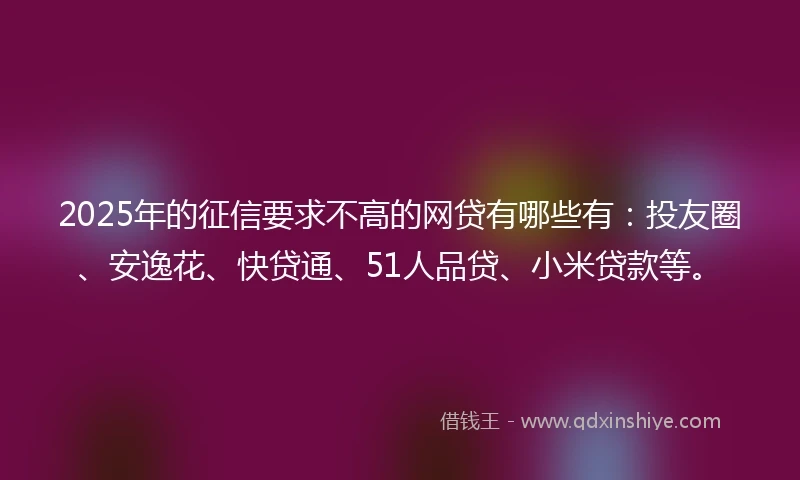 2025年的征信要求不高的网贷有哪些有：投友圈、安逸花、快贷通、51人品贷、小米贷款等。
