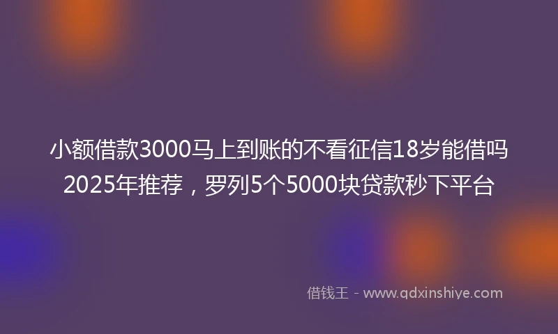 小额借款3000马上到账的不看征信18岁能借吗2025年推荐，罗列5个5000块贷款秒下平台