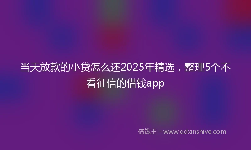 当天放款的小贷怎么还2025年精选，整理5个不看征信的借钱app