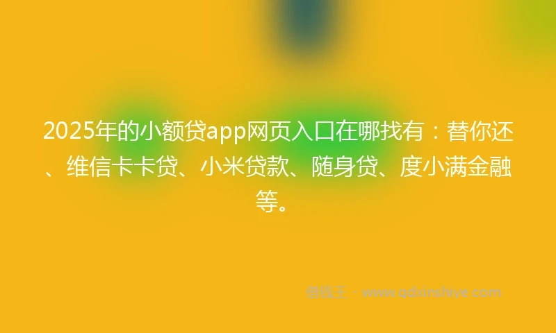2025年的小额贷app网页入口在哪找有：替你还、维信卡卡贷、小米贷款、随身贷、度小满金融等。