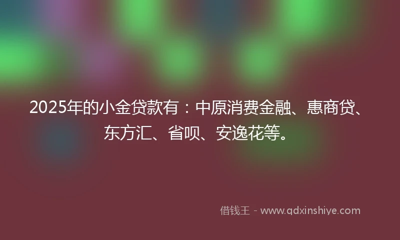 2025年的小金贷款有：中原消费金融、惠商贷、东方汇、省呗、安逸花等。