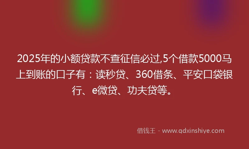 2025年的小额贷款不查征信必过,5个借款5000马上到账的口子有：读秒贷、360借条、平安口袋银行、e微贷、功夫贷等。