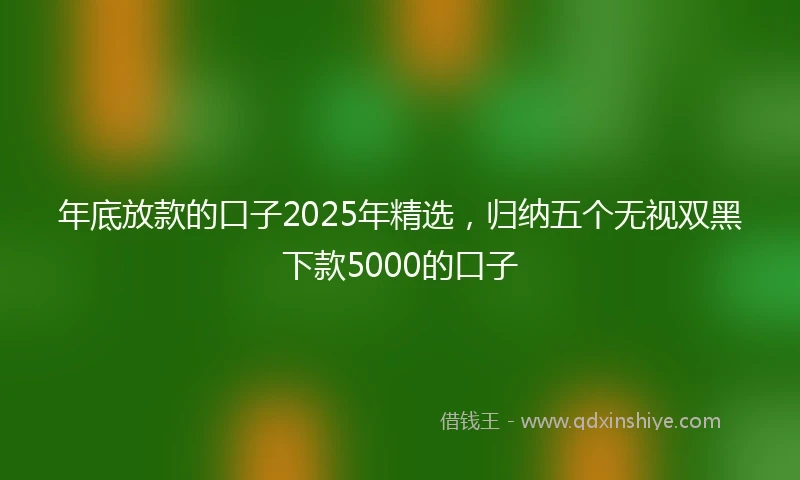 年底放款的口子2025年精选，归纳五个无视双黑下款5000的口子