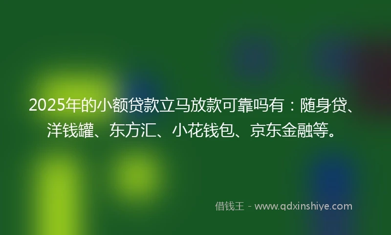 2025年的小额贷款立马放款可靠吗有：随身贷、洋钱罐、东方汇、小花钱包、京东金融等。