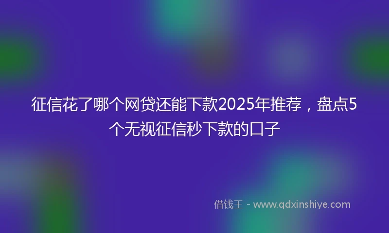 征信花了哪个网贷还能下款2025年推荐,盘点5个无视征信秒下款的口子