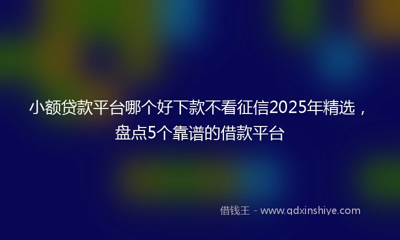 小额贷款平台哪个好下款不看征信2025年精选，盘点5个靠谱的借款平台