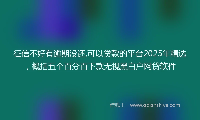 征信不好有逾期没还,可以贷款的平台2025年精选，概括五个百分百下款无视黑白户网贷软件