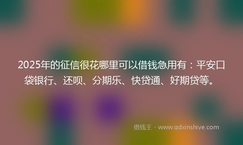 2025年的征信很花哪里可以借钱急用有：平安口袋银行、还呗、分期乐、快贷通、好期贷等。
