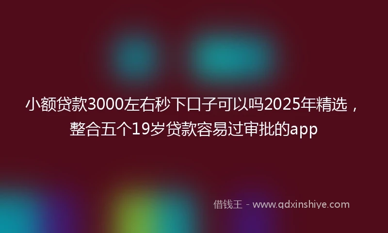 小额贷款3000左右秒下口子可以吗2025年精选，整合五个19岁贷款容易过审批的app